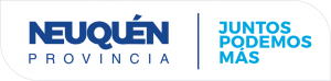 neuquen juntos podemos más gobierno