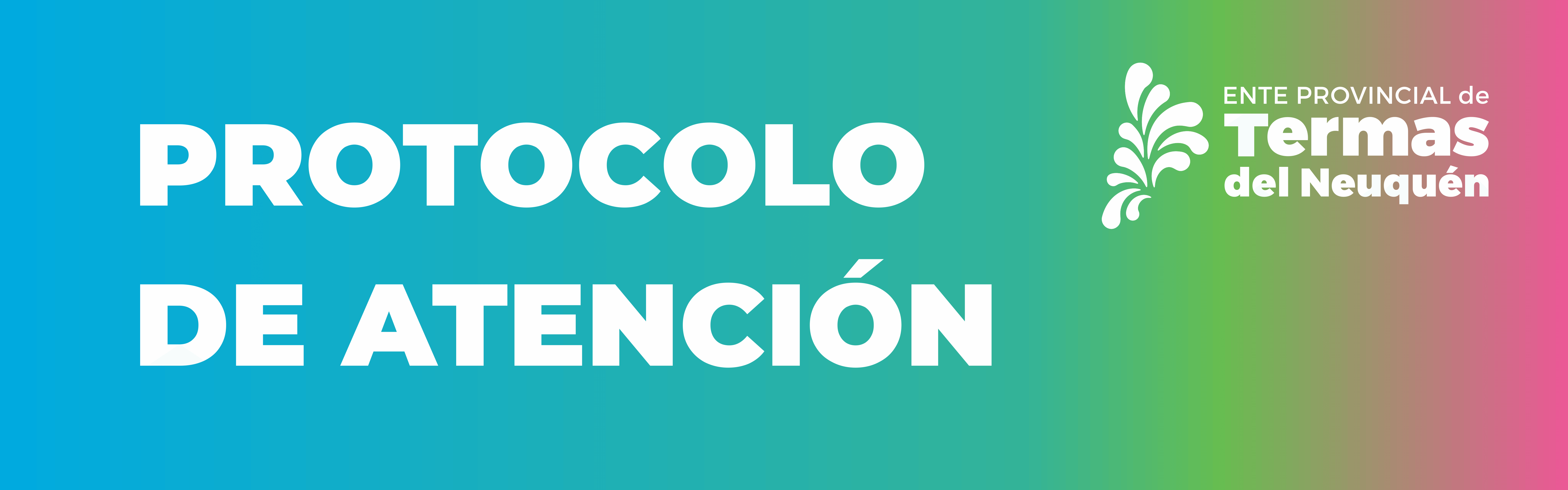Banner Protocolo Copahue